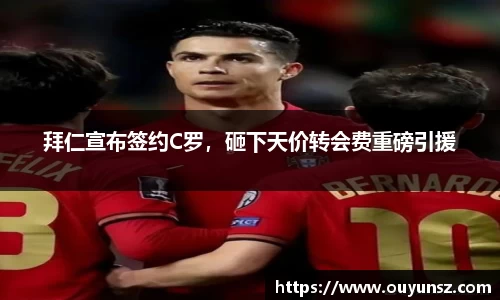 熊猫体育平台官网